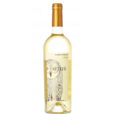 Vīns "Asio Otus Vino Bianco Enigmatico" 12.5% 0.75L sauss balts 